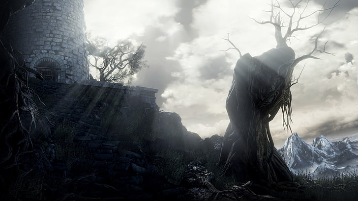 withered tree wallpaper, Dark Souls III, video games, screen shot