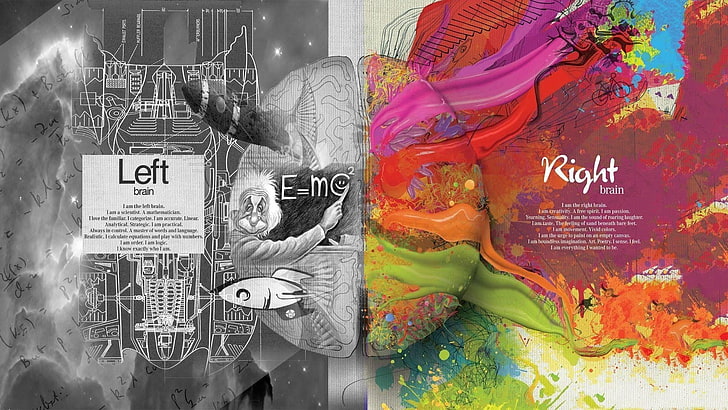 grayscale and multicolored artwork, brain, knowledge, splitting