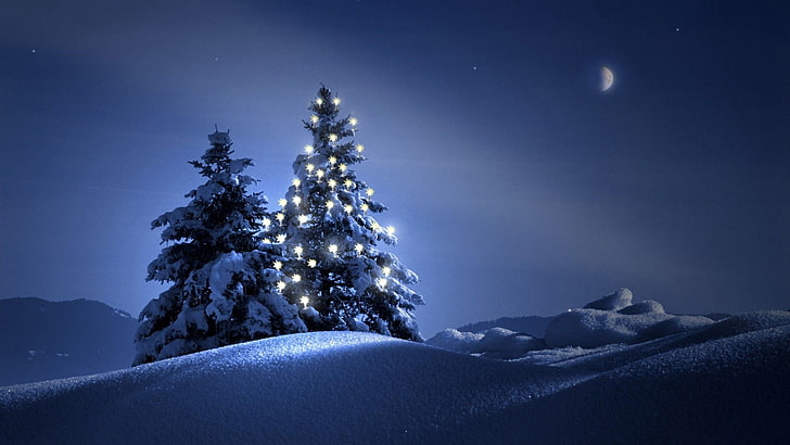 rule of third painting of lighted Christmas tree, snow, night