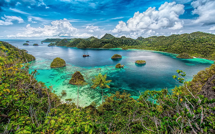 Nature Tropical Islands With Tropical Green Trees, Forest, Cloud Ocean Ha Long Bay Viêt Nam Bay Pierre Palm, HD wallpaper