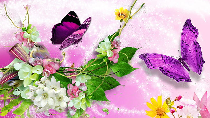 Bright Bird Bright Butterflies, glitter, scintillate, twinkle, HD wallpaper