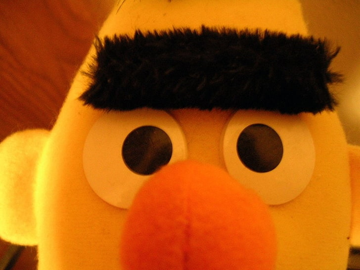Bert of Sesame Street plush toy, Bert (Sesame Street), close-up, HD wallpaper