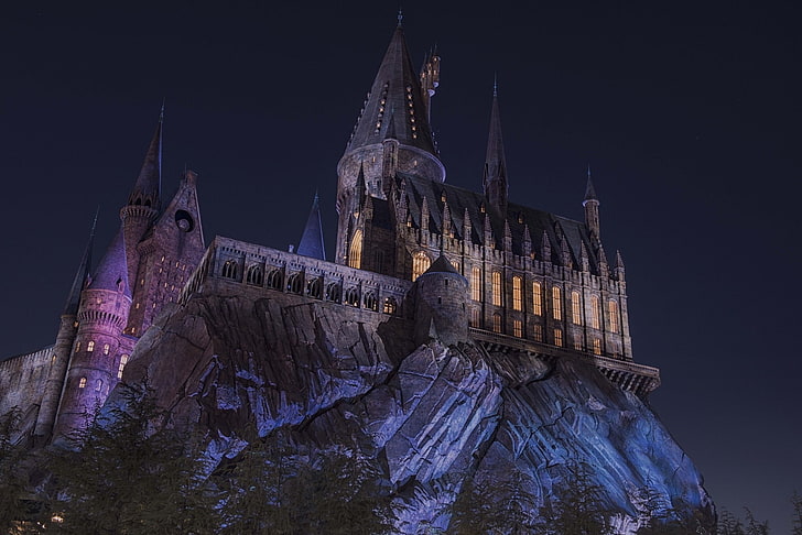castle, Dark, Hogwarts, landscape, Lights, Magic, night, Trees