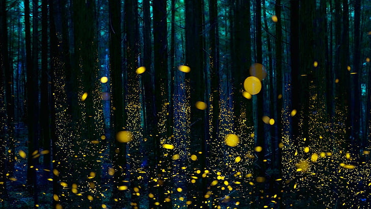 HD wallpaper: forest, twilight, trees, darkness, fireflies, firefly ...