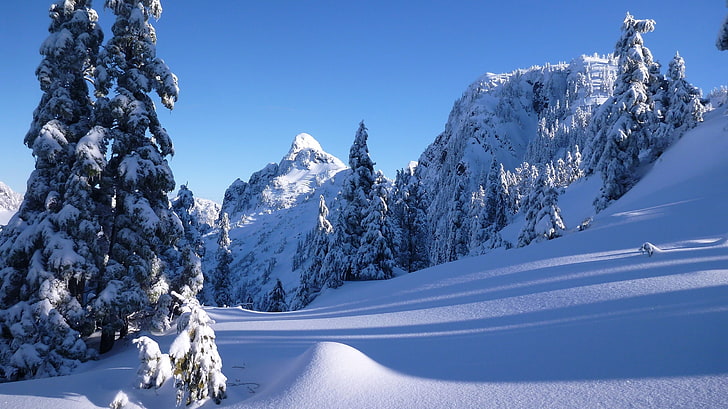 winter, snow, trees, mountains, ate, Canada, the snow, Vancouver, HD wallpaper