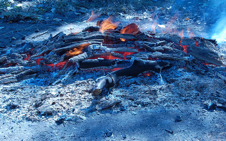 bon fire, log, nature, smoke, burning, fire - natural phenomenon, HD wallpaper
