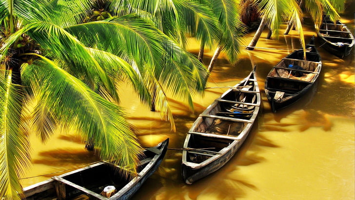 brown canoe boat, nature, water, river, palm trees, India, flood, HD wallpaper