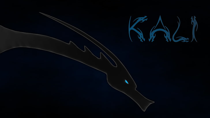 black dragon illustration, Linux, Kali Linux, Kali Linux NetHunter