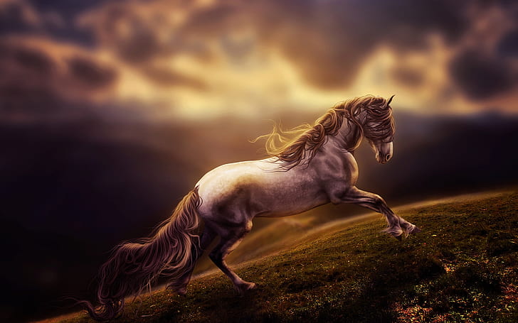 Art rendering, horse running, HD wallpaper