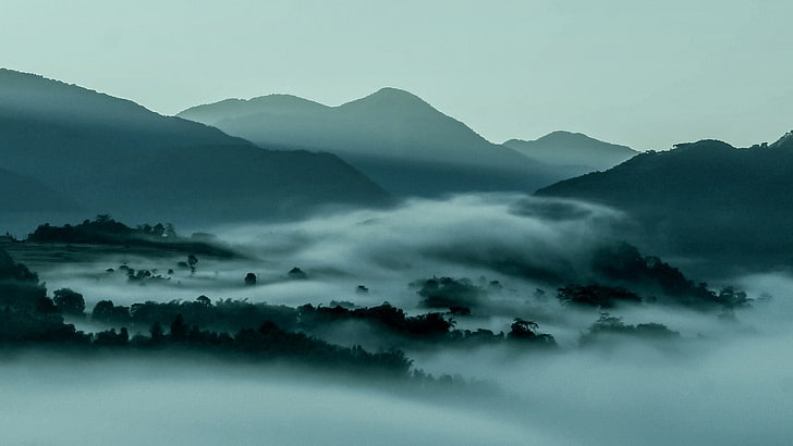 nature, landscape, mountains, mist, forest, sun rays, fog, scenics - nature, HD wallpaper
