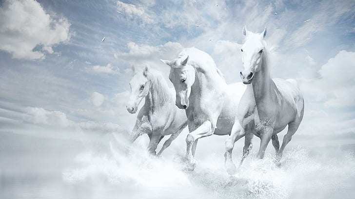 Three White Horses Running, animals, clouds