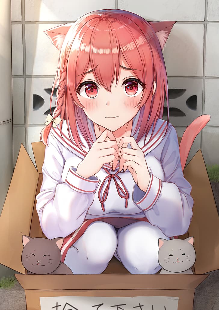 Img  Cat Ears  Anime Girl With Pink Hair Cat HD Png Download   Transparent Png Image  PNGitem