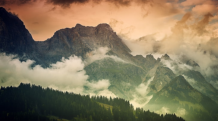 German Bavarian Alps Mountains Landscape, green leafed forest