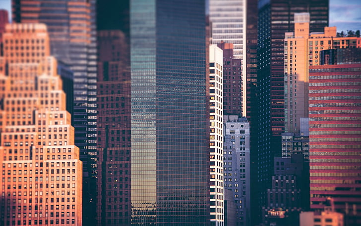 buildings, skyscrapers, tilt shift, tiltshift, HD wallpaper