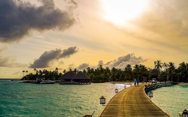 Exotic Maldives Beach, tropics, sea, palm trees, HD wallpaper