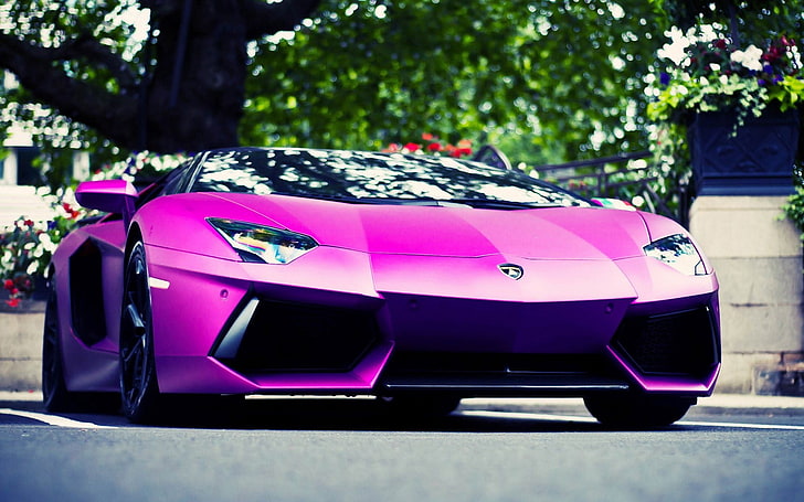 purple Lamborghini sports coupe, car, motor vehicle, pink color