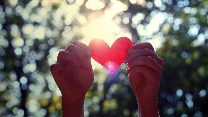 Valentine's Day, love heart in hands, sun rays, HD wallpaper
