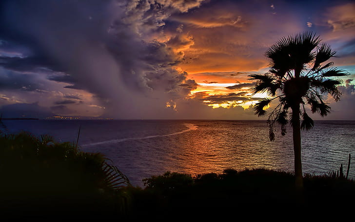 Cabarete, Dominican Republic, sky, clouds, Sunset, Sea, palm tree silhouette, HD wallpaper