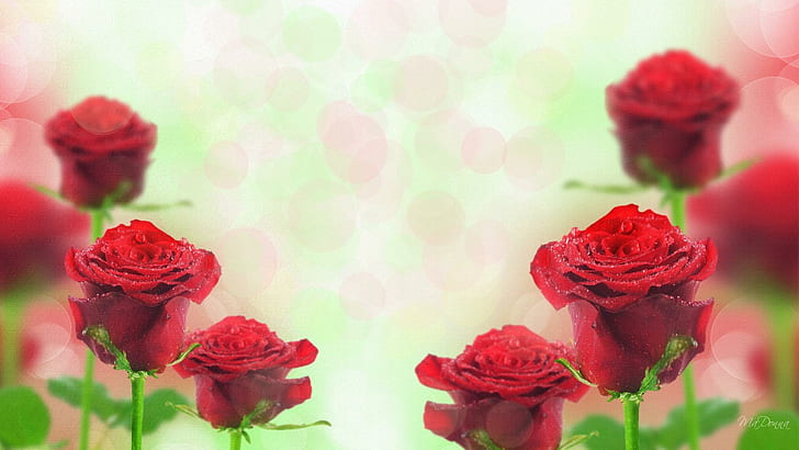 Roses Red, firefox persona, leaves, anniversary, flowers, love, HD wallpaper