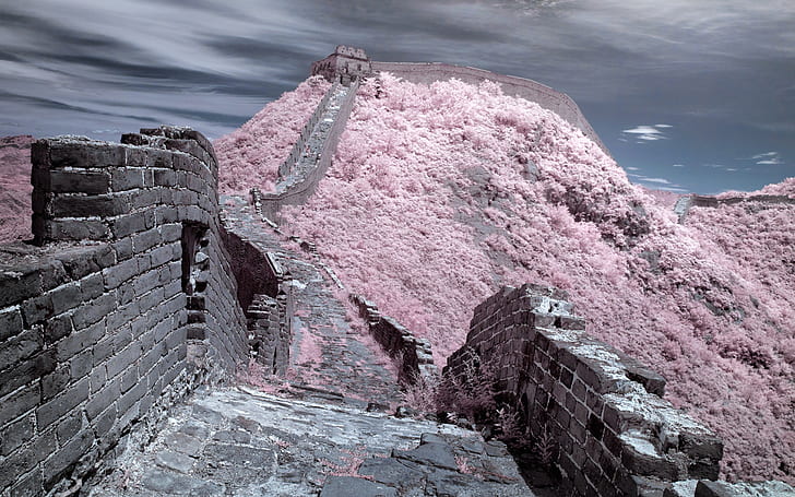 The Great Wall of China China Pink Wall HD, nature