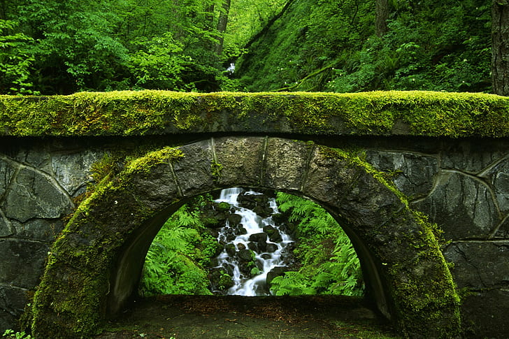 green, moss, stones, bridge, stream, arch, forest, wet, rocks