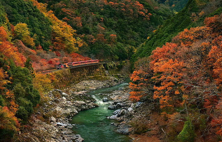 nature, landscape, forest, train, river, HD wallpaper
