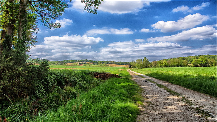 pathway between green grass, road, sky, field, landscape, nature, HD wallpaper
