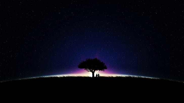 HD wallpaper: night, grass, sky, stars, trees, boy and girl, love |  Wallpaper Flare