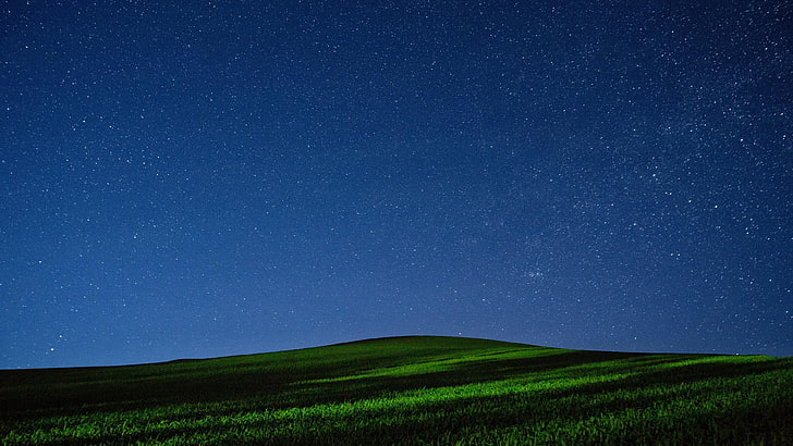 meadow, starry, starry night, night sky, field, star - space, HD wallpaper