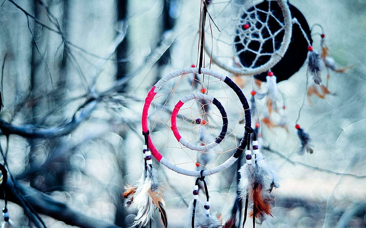 Dreamcatcher, white, black, and pink dreamcatchers, photography