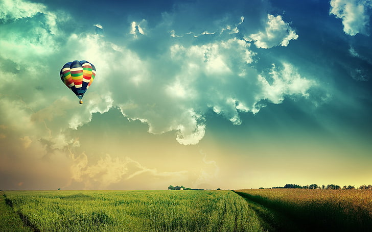 multicolored hot air balloon, hot air balloons, field, clouds