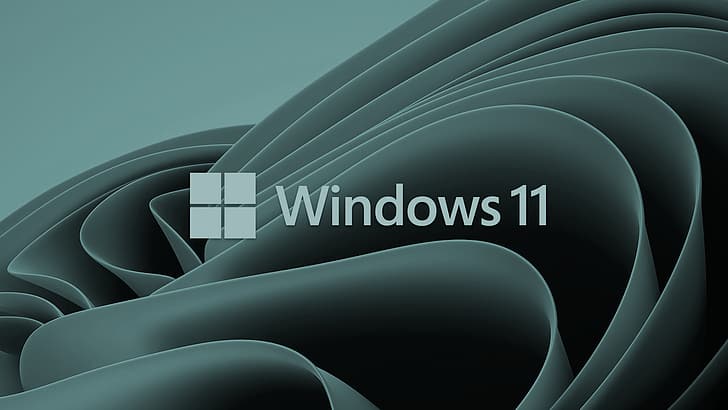 Windows11, minimalism, simple, Microsoft, windows logo, operating system, HD wallpaper