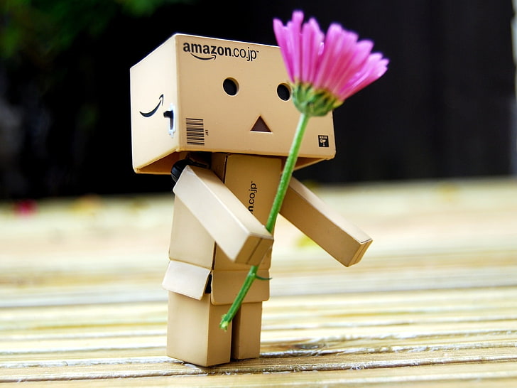 Amazon Box Giving Pink Flower, Amazon box puppet, Other, Love