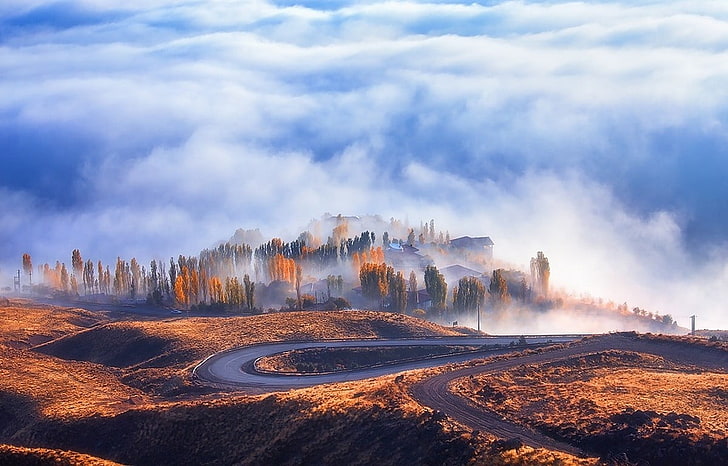 green leafed trees, nature, landscape, road, mist, fall, clouds