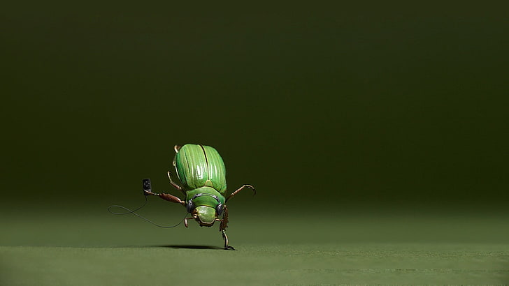 green beetle, insect, macro, animals, digital art, humor, animal themes, HD wallpaper