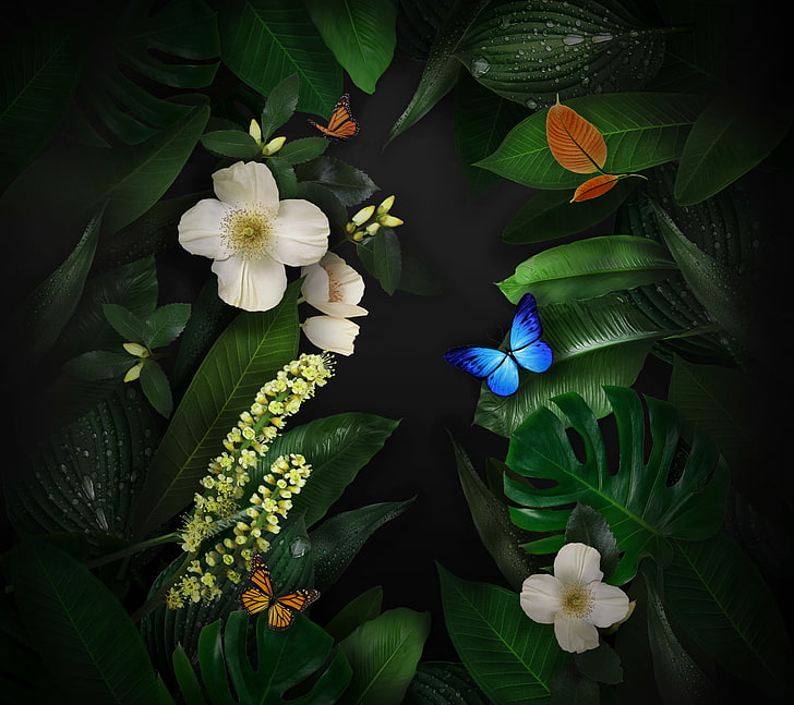 Flowers, Stock, Butterflies, Huawei Mate 10, Leaves HD wallpaper