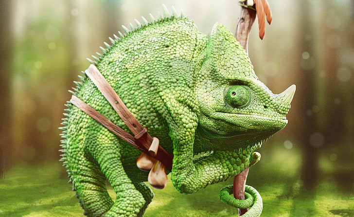 green chameleon, chameleons, reptiles, animals, green color, one animal, HD wallpaper