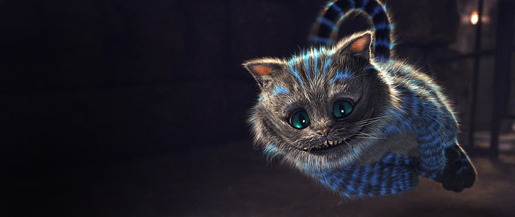 gray and blue kitten, Cheshire Cat, Alice in Wonderland, smiling