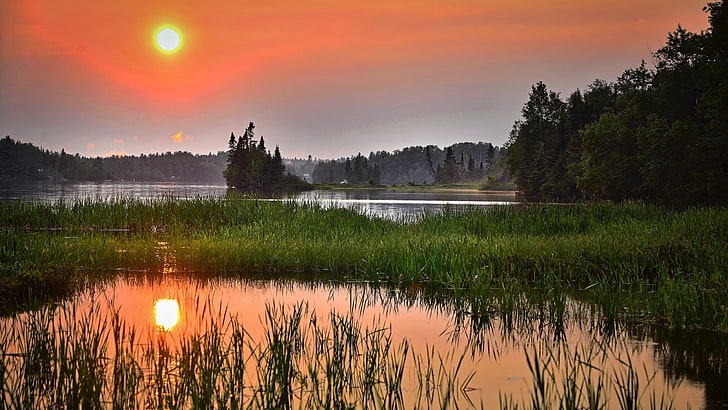 quebec, canada, sunset, wetland, reflection, nature, water, HD wallpaper