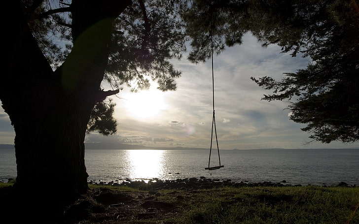 wooden swing, tree, coast, lake, sea, nature, beach, sunset, sky