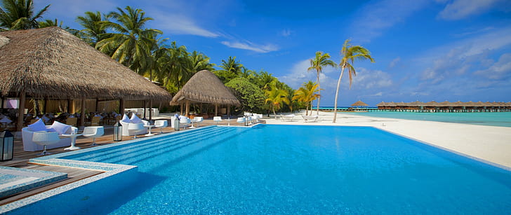 ultrawide swimming pool palm trees sea, HD wallpaper