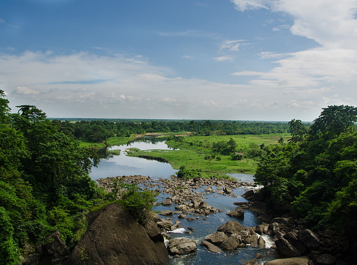 Bangladesh Landscape, green trees, Asia, india, eastkhasihills