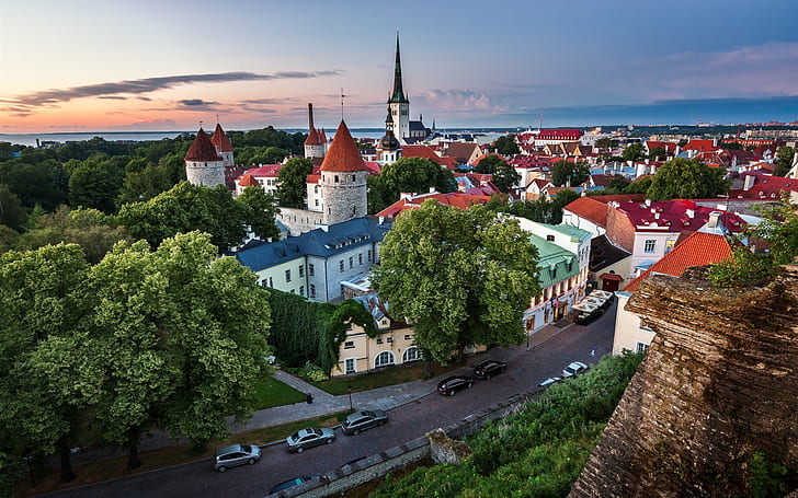 Tallinn, Estonia, old town, road, houses, HD wallpaper
