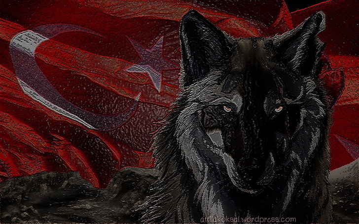 black wolf painting, Bozkurt, Turkish, Turkey, flag, red, animal, HD wallpaper