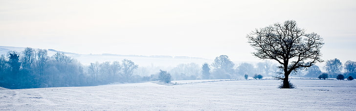 Winter Wonderland, canon, canoneos60d, england, landscape, nature, HD wallpaper