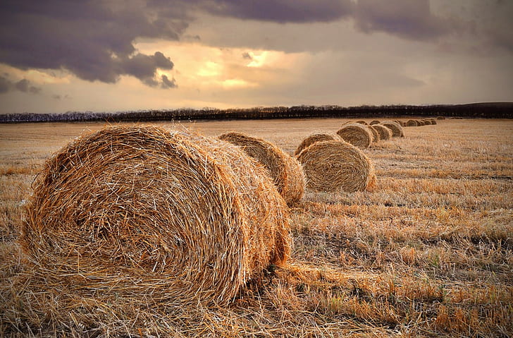 straw, field, landscape, haystacks, sunset, fall, farm, HD wallpaper