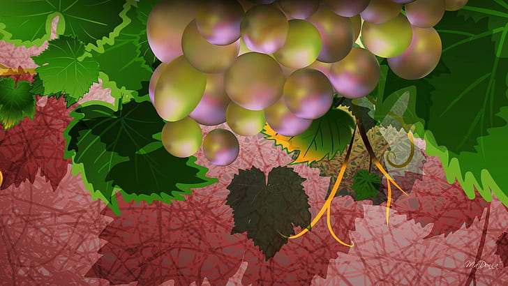 Grapes For Wine, winery, fall, ripe, leaves, vineyard, champagne