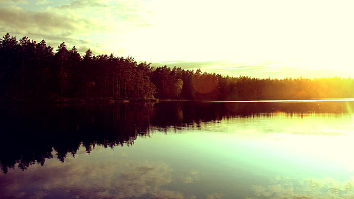 view of body of water surrounded by trees during sunset, lake
