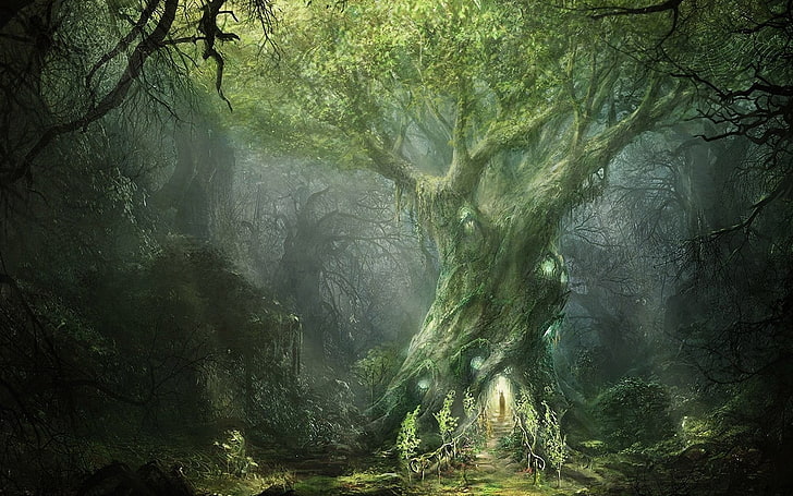 Fantasy Forest Pictures  Download Free Images on Unsplash