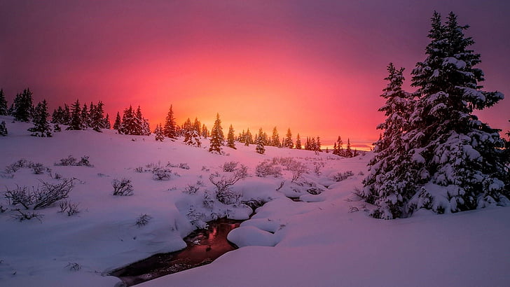 landscape, purple sky, orange sky, runnel, brook, dawn, sunset, HD wallpaper